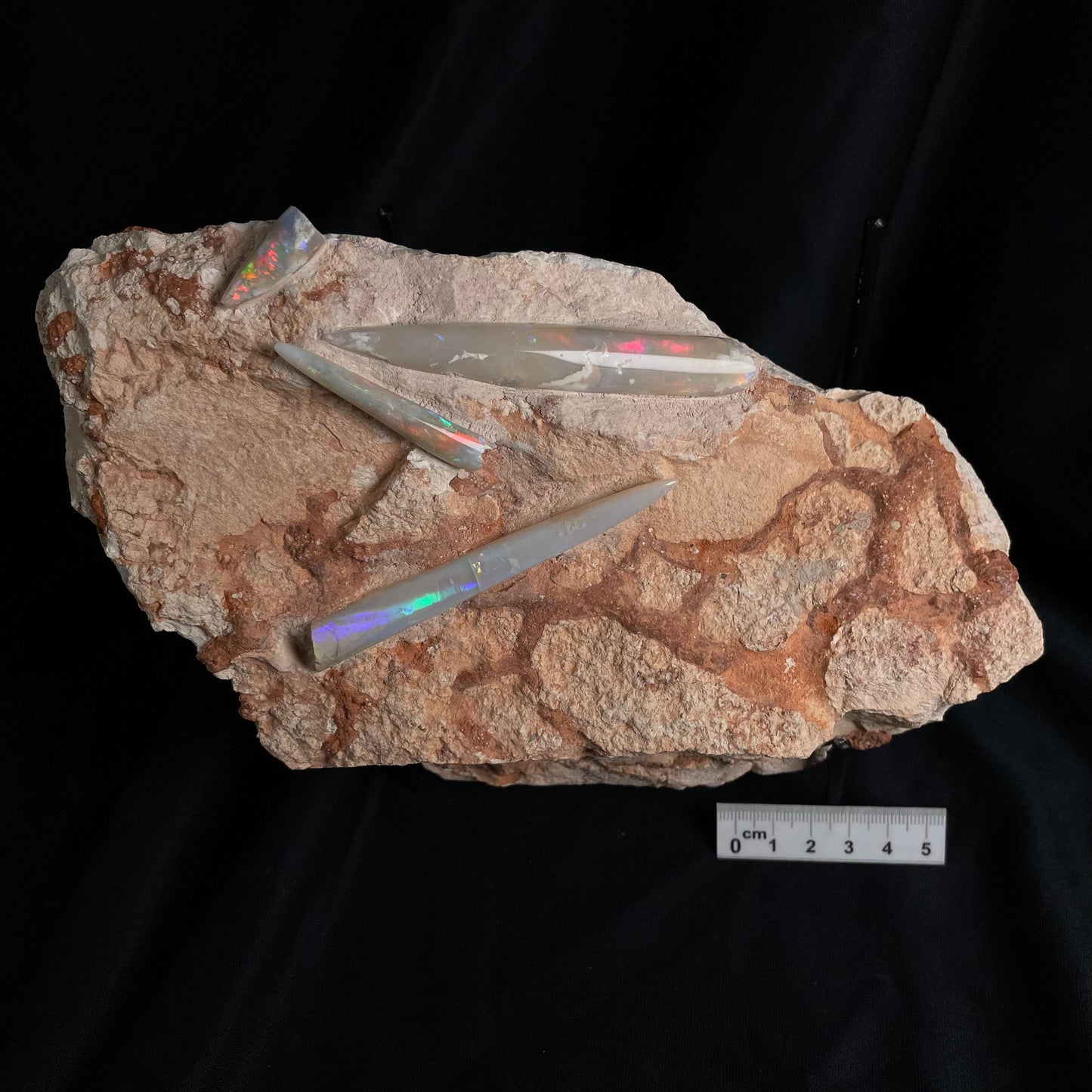 4 x OPAL BELEMNITE FOSSILS in matrix GOB006