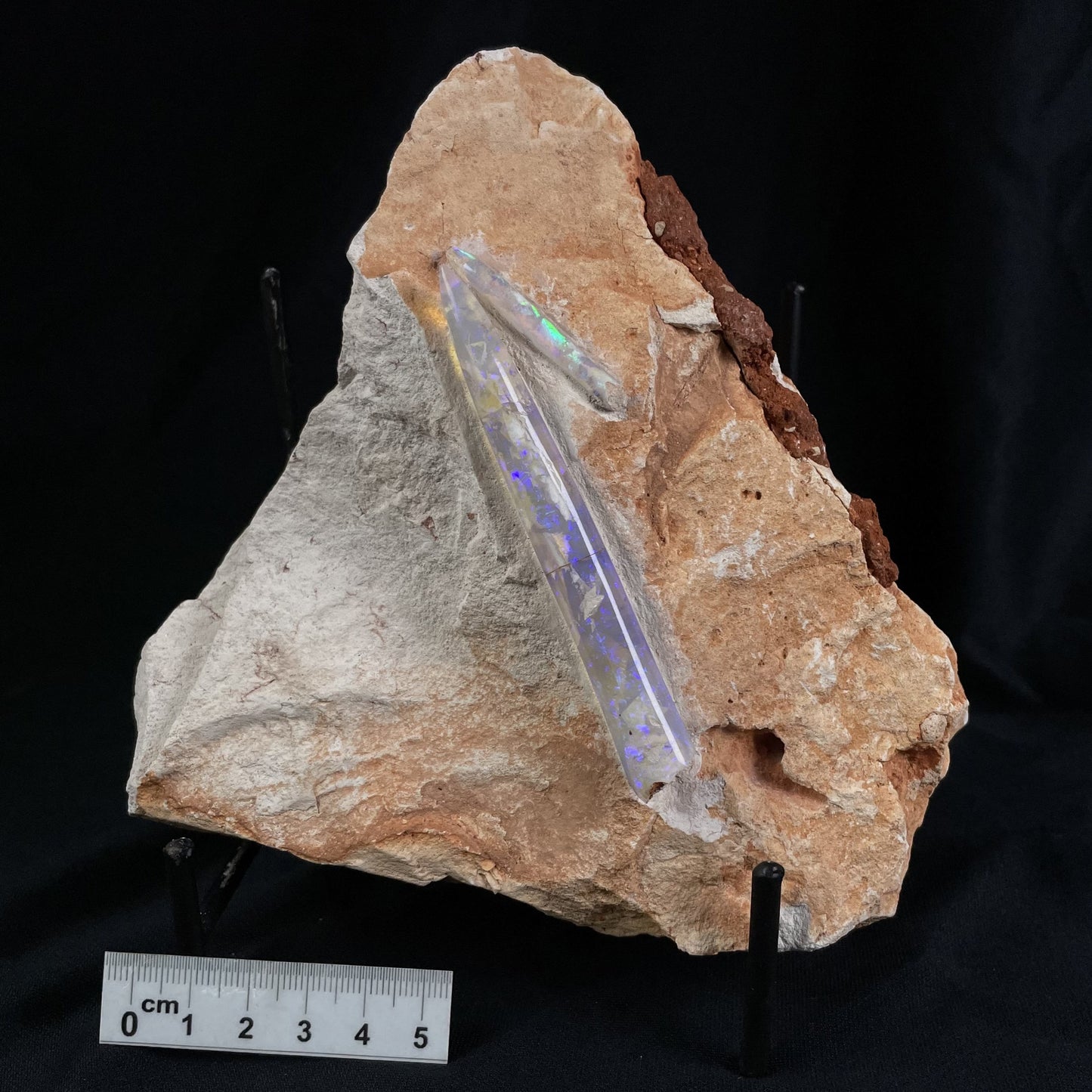 2 x OPAL BELEMNITE FOSSILS in matrix GOB007