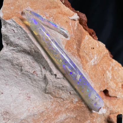 2 x OPAL BELEMNITE FOSSILS in matrix GOB007