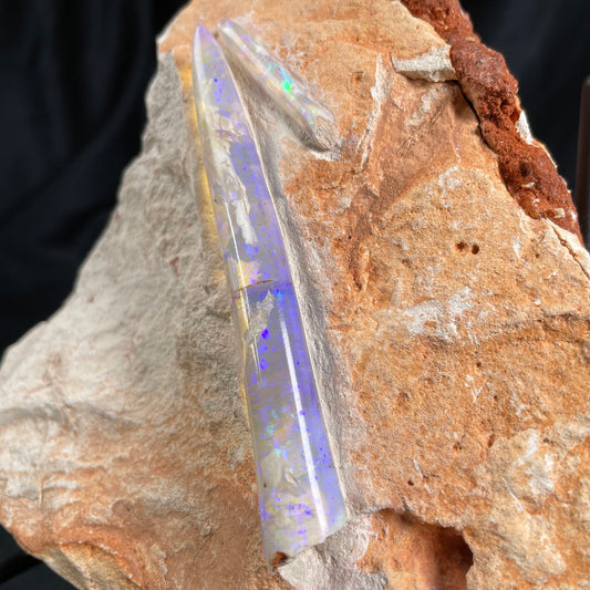 2 x OPAL BELEMNITE FOSSILS in matrix GOB007