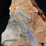 2 x OPAL BELEMNITE FOSSILS in matrix GOB007