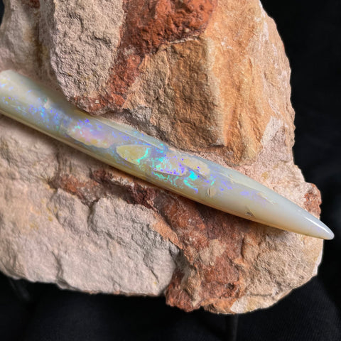 OPAL BELEMNITE FOSSIL in matrix GOB008