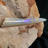 OPAL BELEMNITE FOSSIL in matrix GOB008