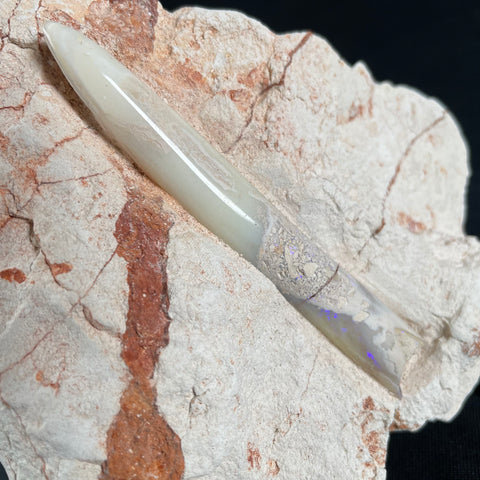 OPAL BELEMNITE FOSSIL in matrix GOB010