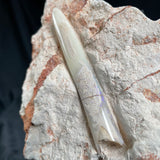 OPAL BELEMNITE FOSSIL in matrix GOB010