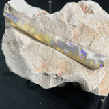 OPAL BELEMNITE FOSSIL in matrix GOB011