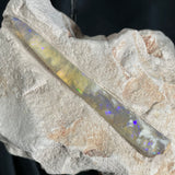 OPAL BELEMNITE FOSSIL in matrix GOB011