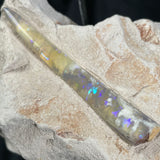 OPAL BELEMNITE FOSSIL in matrix GOB011