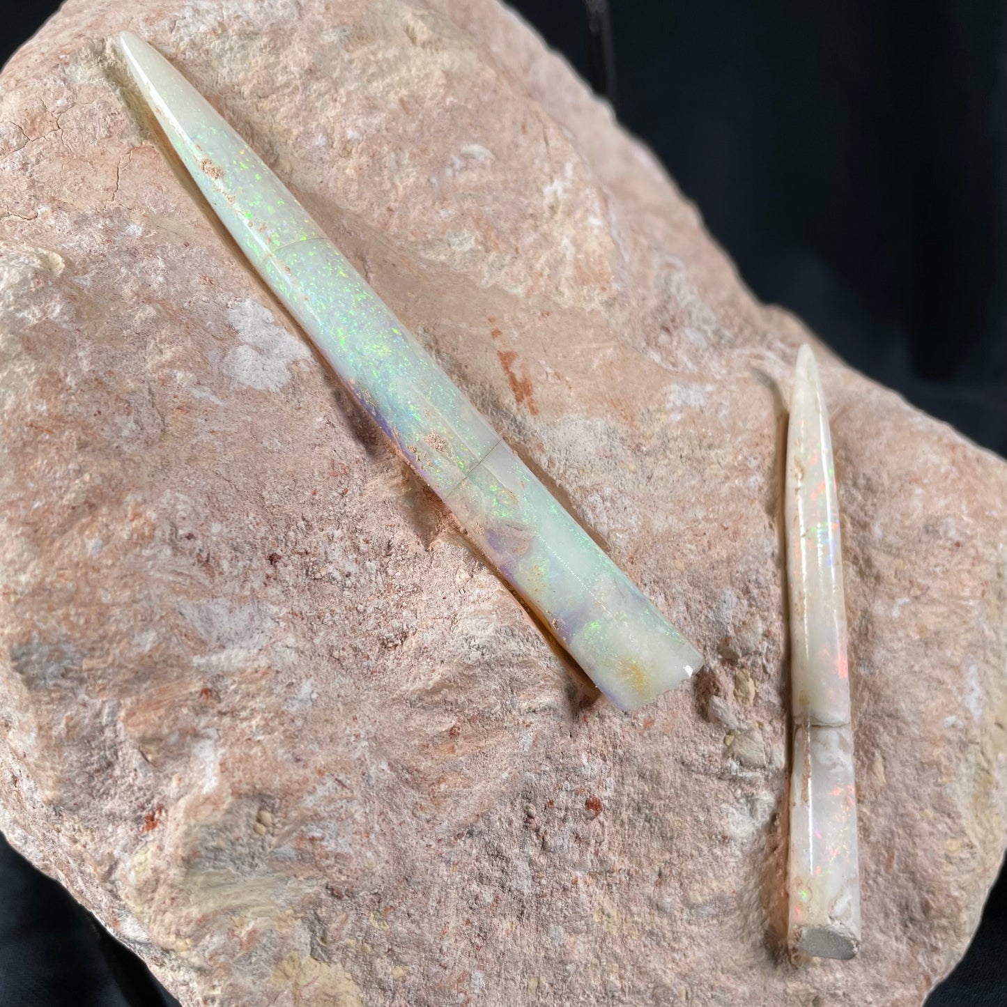 2 x OPAL BELEMNITE FOSSILS in matrix GOB012