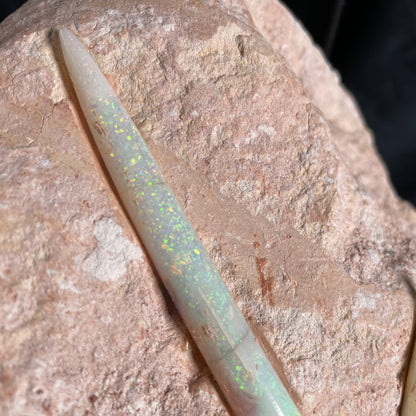 2 x OPAL BELEMNITE FOSSILS in matrix GOB012