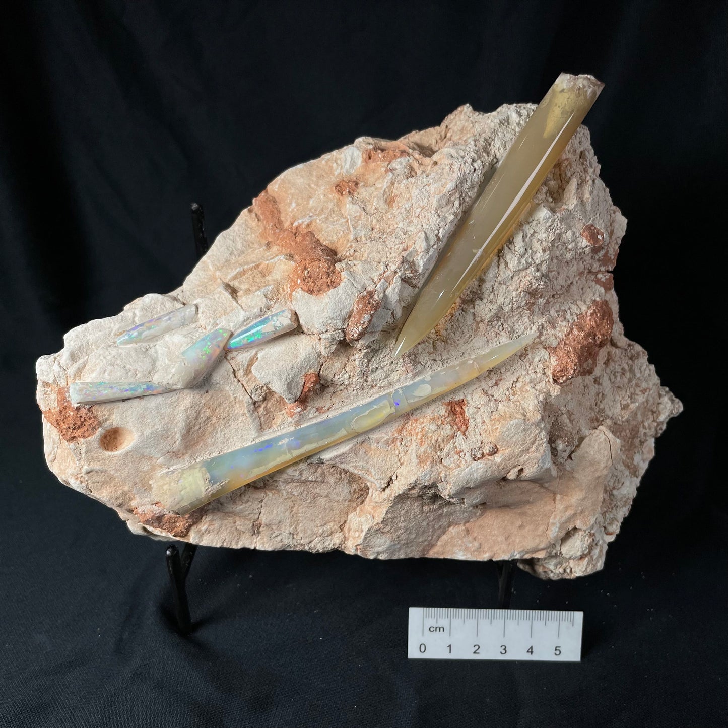 6 x OPAL BELEMNITE FOSSILS in matrix GOB013