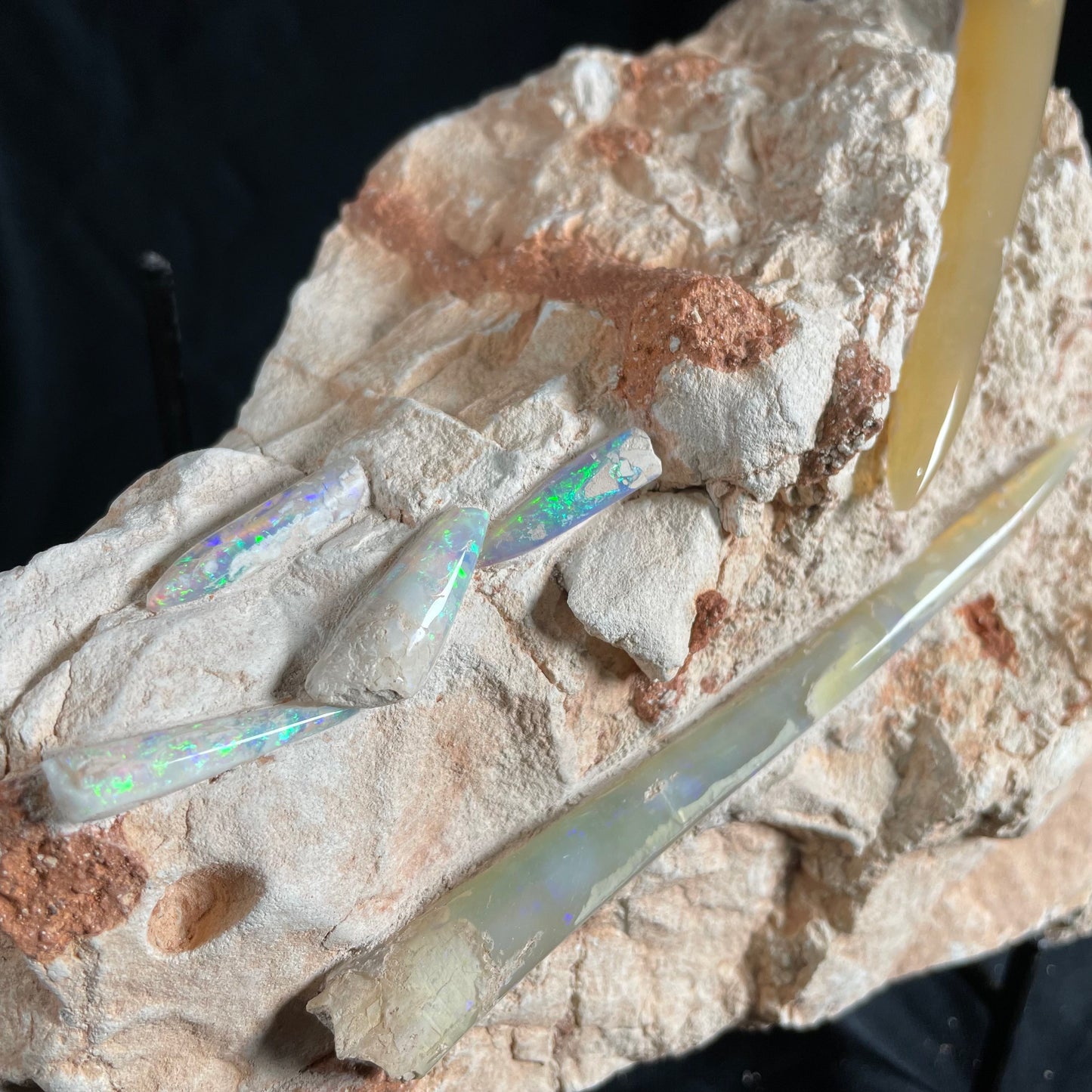 6 x OPAL BELEMNITE FOSSILS in matrix GOB013