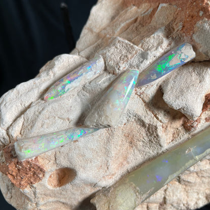 6 x OPAL BELEMNITE FOSSILS in matrix GOB013