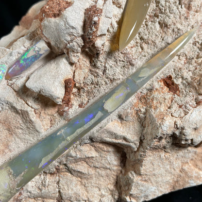 6 x OPAL BELEMNITE FOSSILS in matrix GOB013