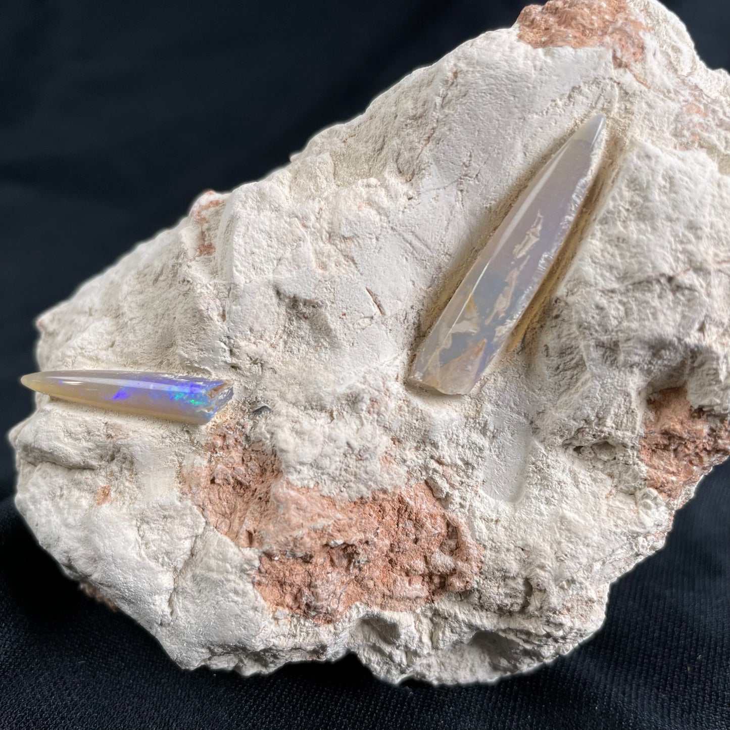 2 x OPAL BELEMNITE FOSSILS in matrix GOB014