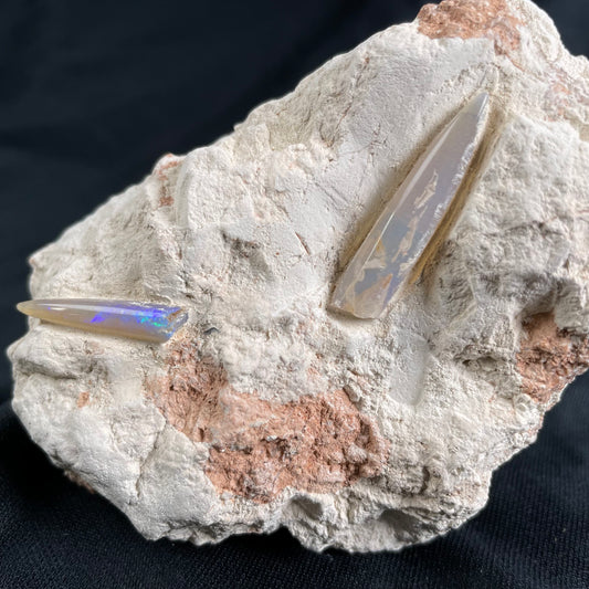 2 x OPAL BELEMNITE FOSSILS in matrix GOB014