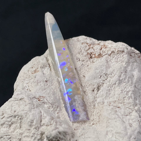 OPAL BELEMNITE FOSSIL in matrix GOB015