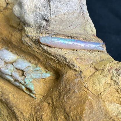 2 x OPAL BELEMNITE FOSSILS in matrix GOB016