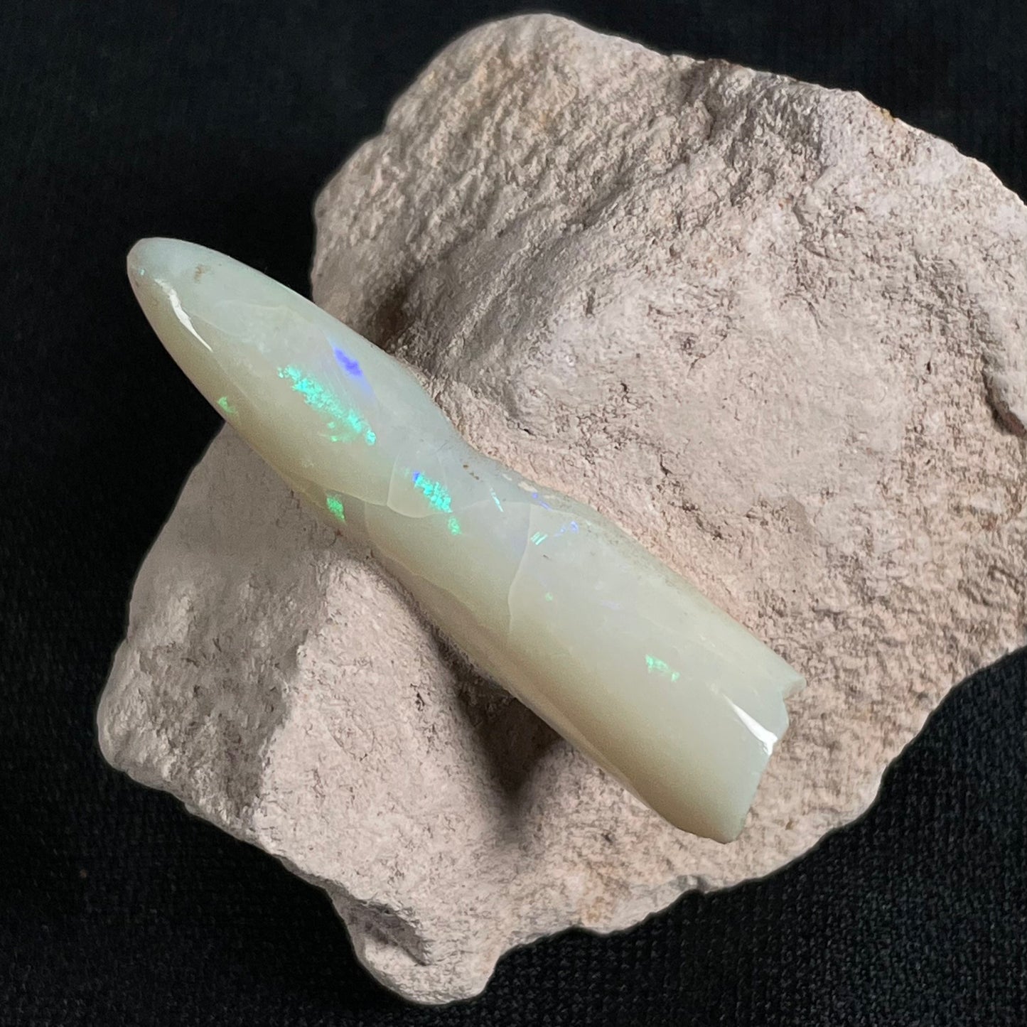 OPAL BELEMNITE FOSSIL in matrix GOB019