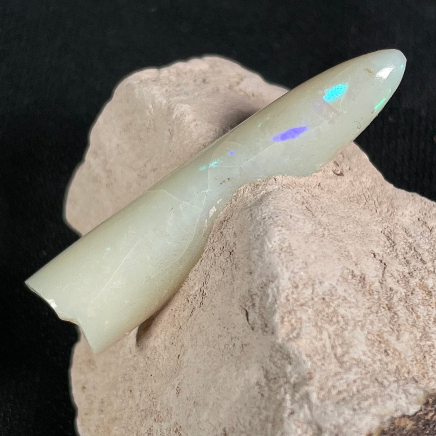 OPAL BELEMNITE FOSSIL in matrix GOB019