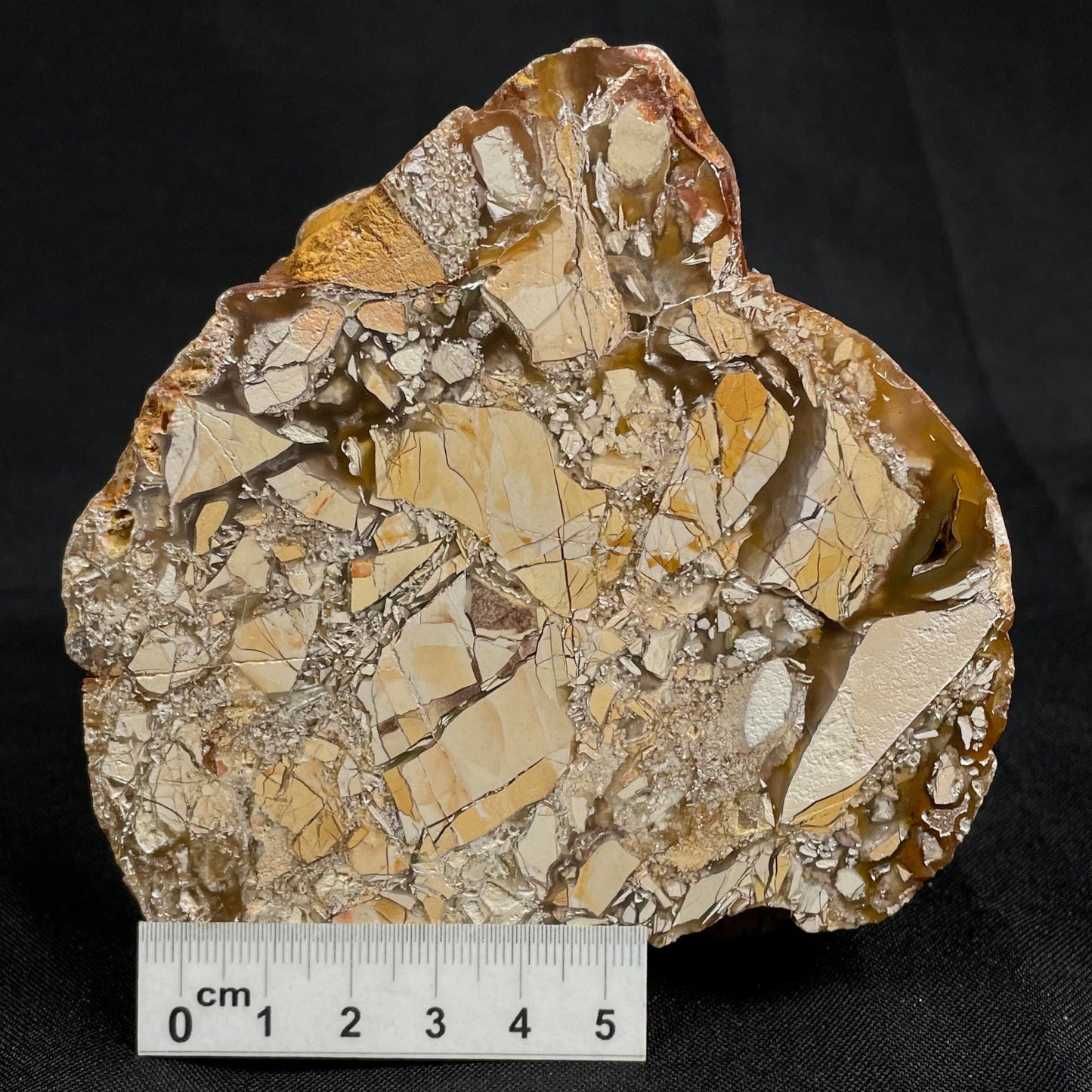 Brecciated Mookaite Polished YSC002