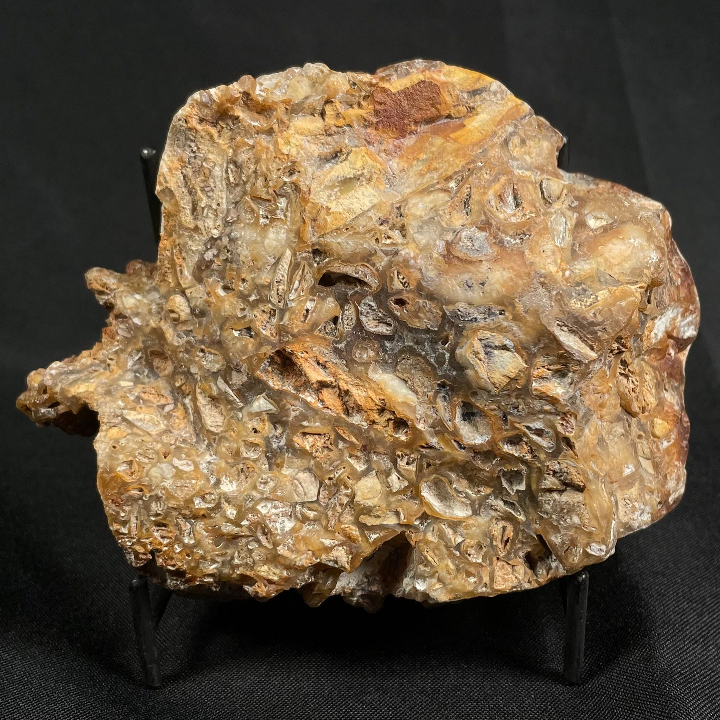 Brecciated Mookaite Polished YSC003