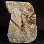 Brecciated Mookaite Polished YSC008