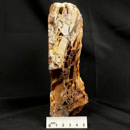 Brecciated Mookaite Polished YSC009