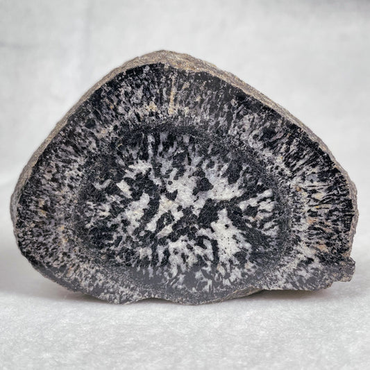 Orbicular Granite Nodule Polished YOG001