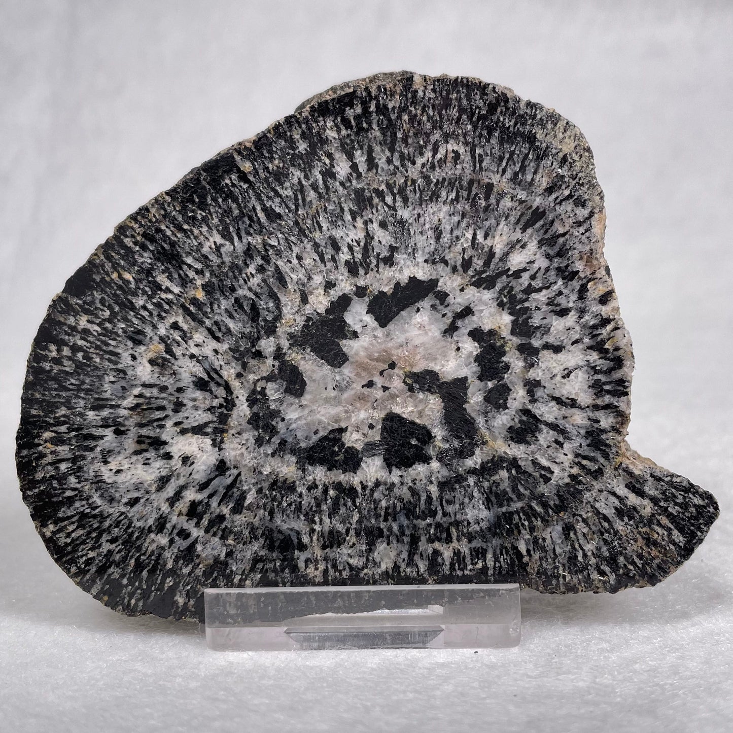 Orbicular Granite Nodule Polished YOG002