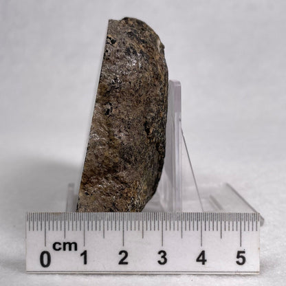 Orbicular Granite Nodule Polished YOG002