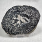 Orbicular Granite Nodule Polished YOG003