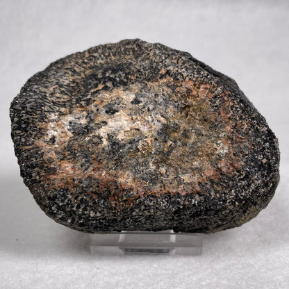 Orbicular Granite Nodule Polished YOG003