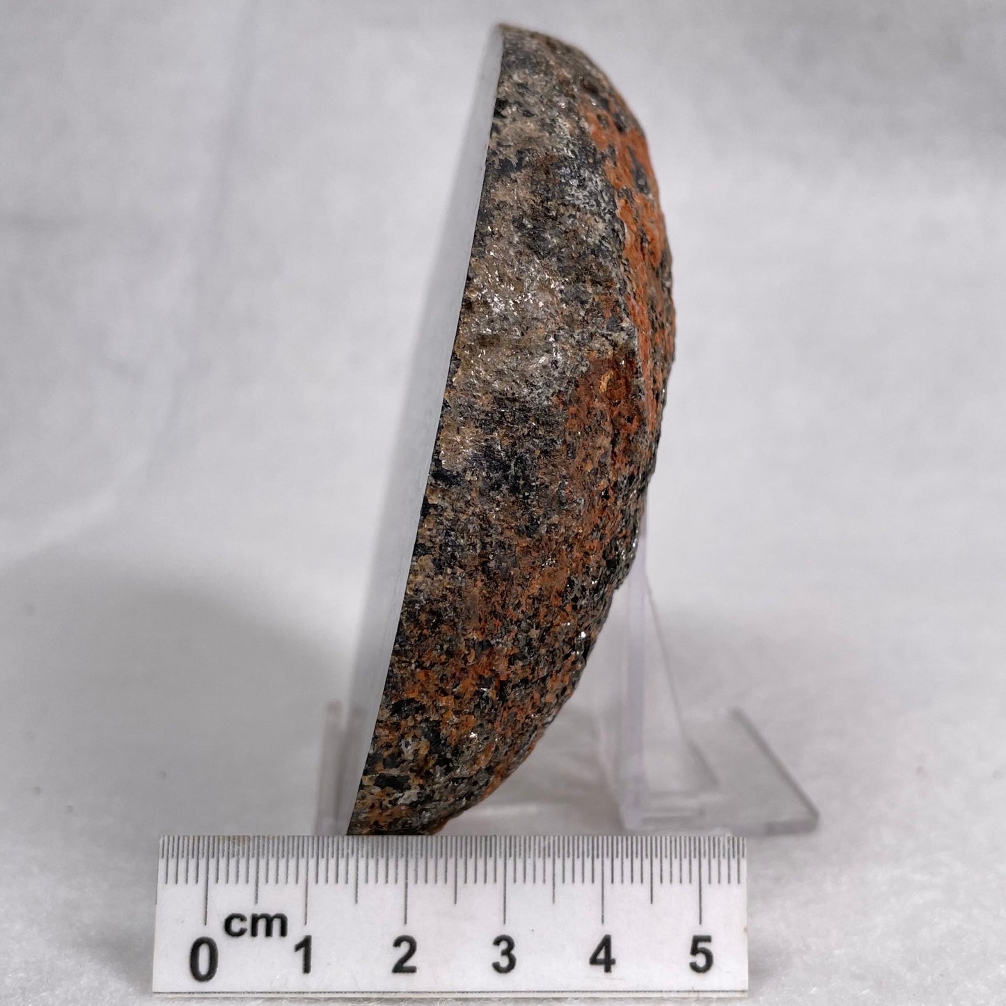 Orbicular Granite Nodule Polished YOG006