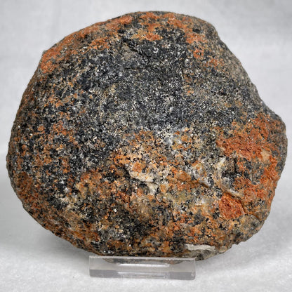 Orbicular Granite Nodule Polished YOG006