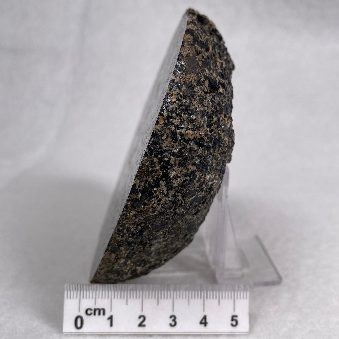 Orbicular Granite Nodule Polished YOG007