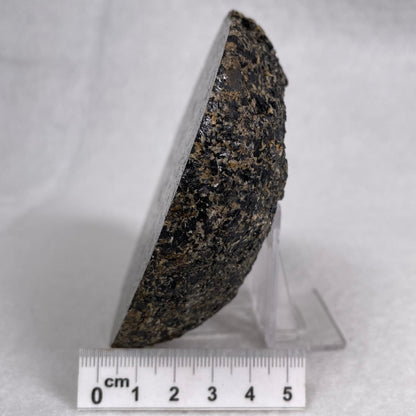 Orbicular Granite Nodule Polished YOG007