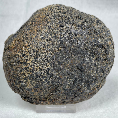 Orbicular Granite Nodule Polished YOG007