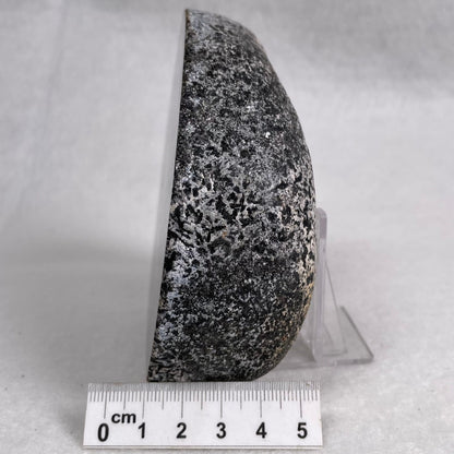 Orbicular Granite Nodule Polished YOG009