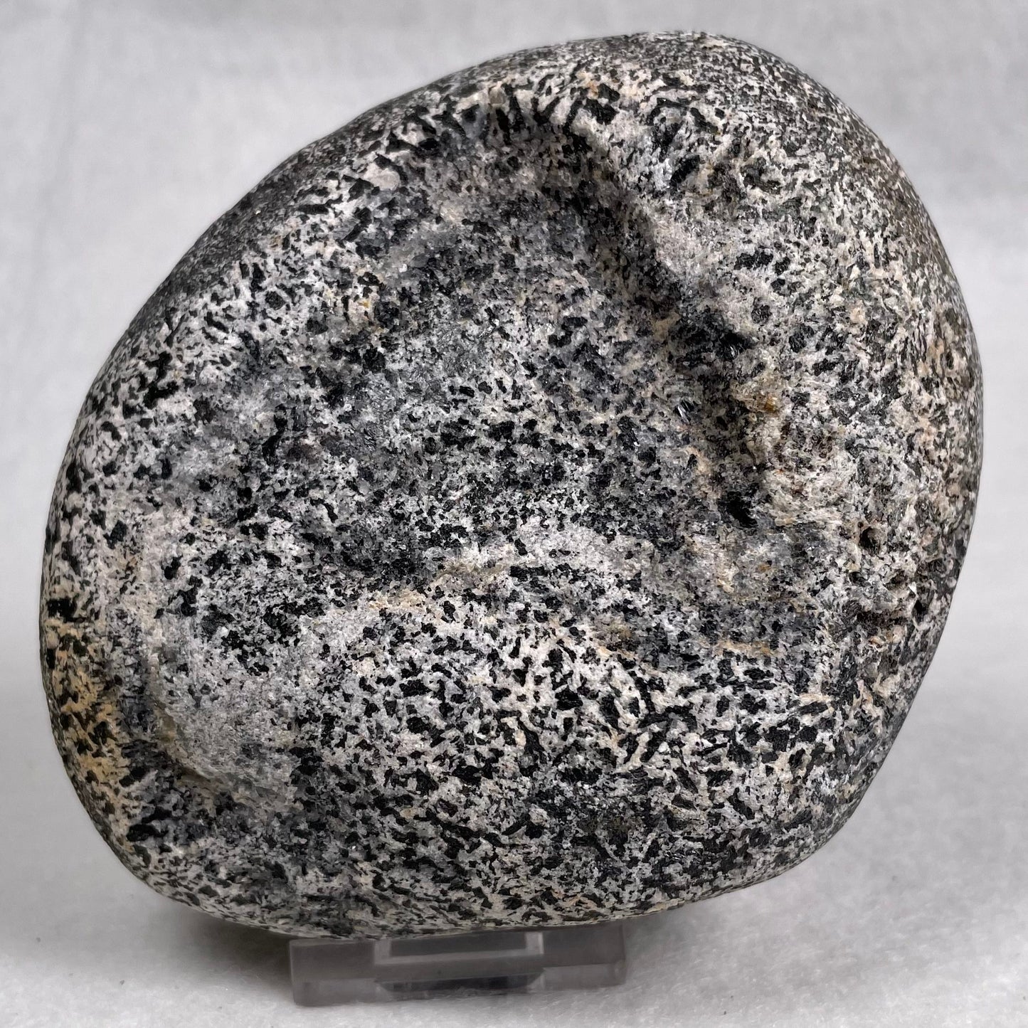 Orbicular Granite Nodule Polished YOG009