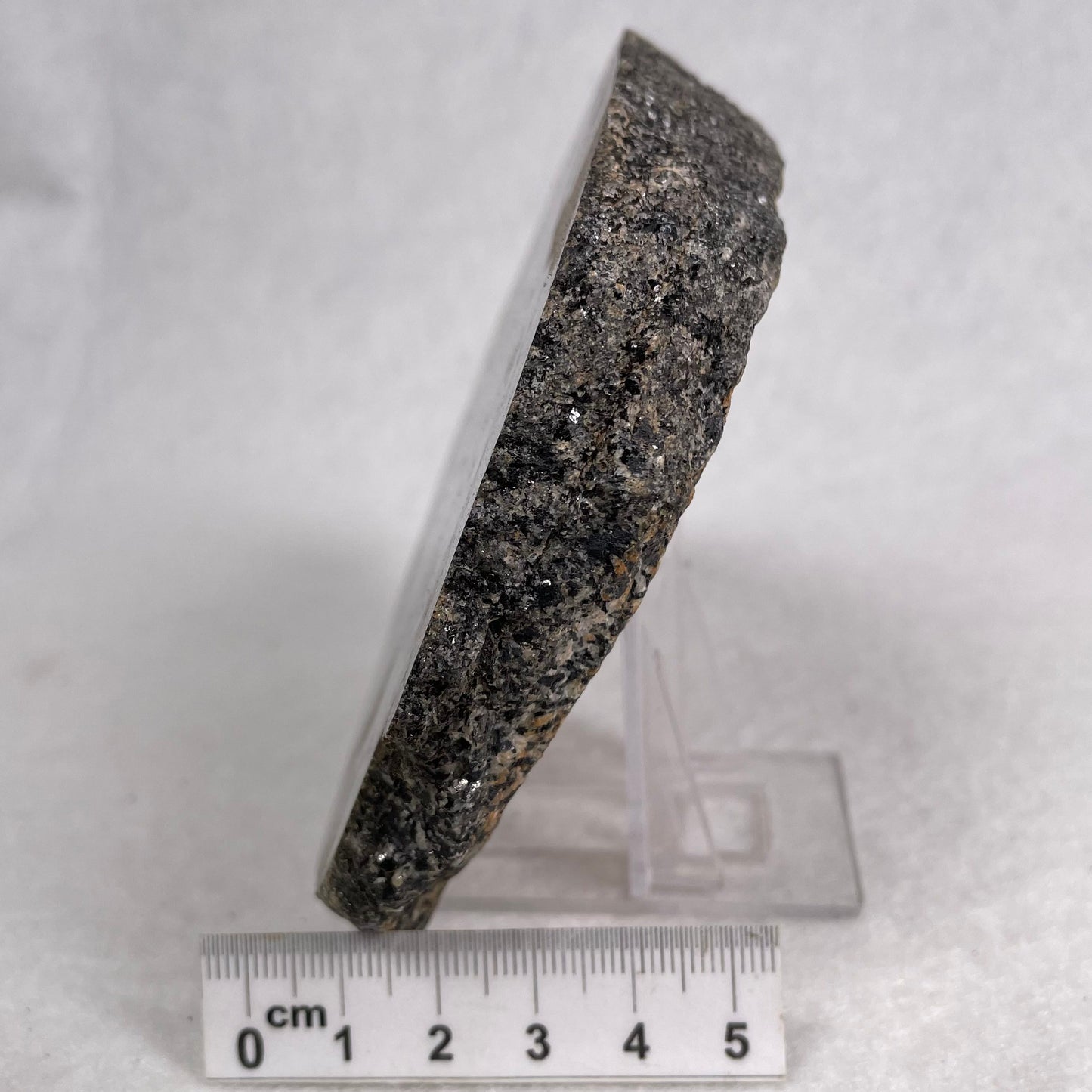 Orbicular Granite Nodule Polished YOG011