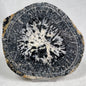 Orbicular Granite Nodule Polished YOG012