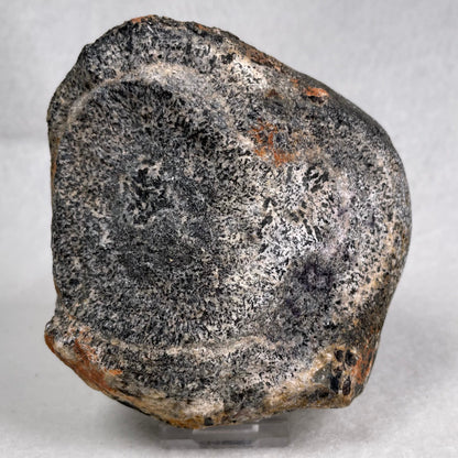 Orbicular Granite Nodule Polished YOG012