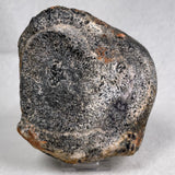 Orbicular Granite Nodule Polished YOG012