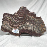 Banded Tiger Iron Polished ZBI002