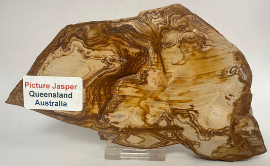 PICTURE JASPER SLICE Australia S550