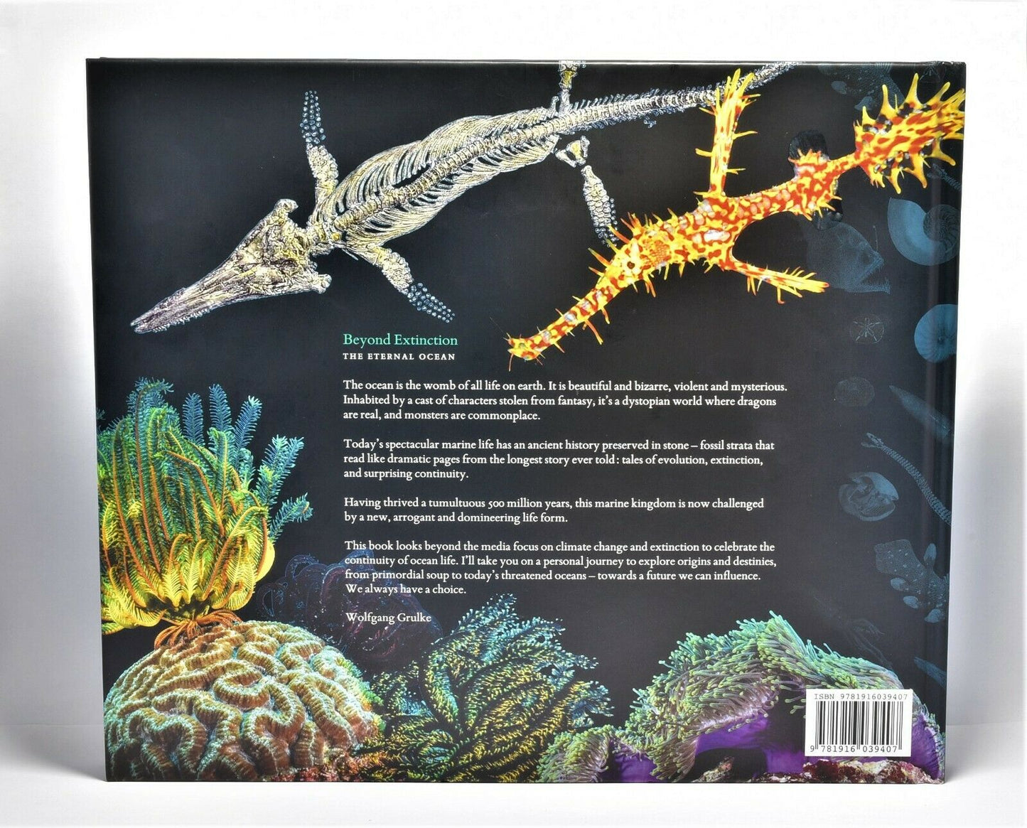 BEYOND EXTINCTION Book by Wolfgang Grulke - The Eternal Ocean (B08)