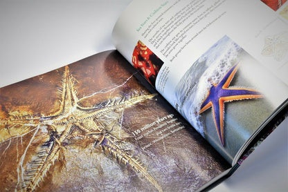 BEYOND EXTINCTION Book by Wolfgang Grulke - The Eternal Ocean (B08)