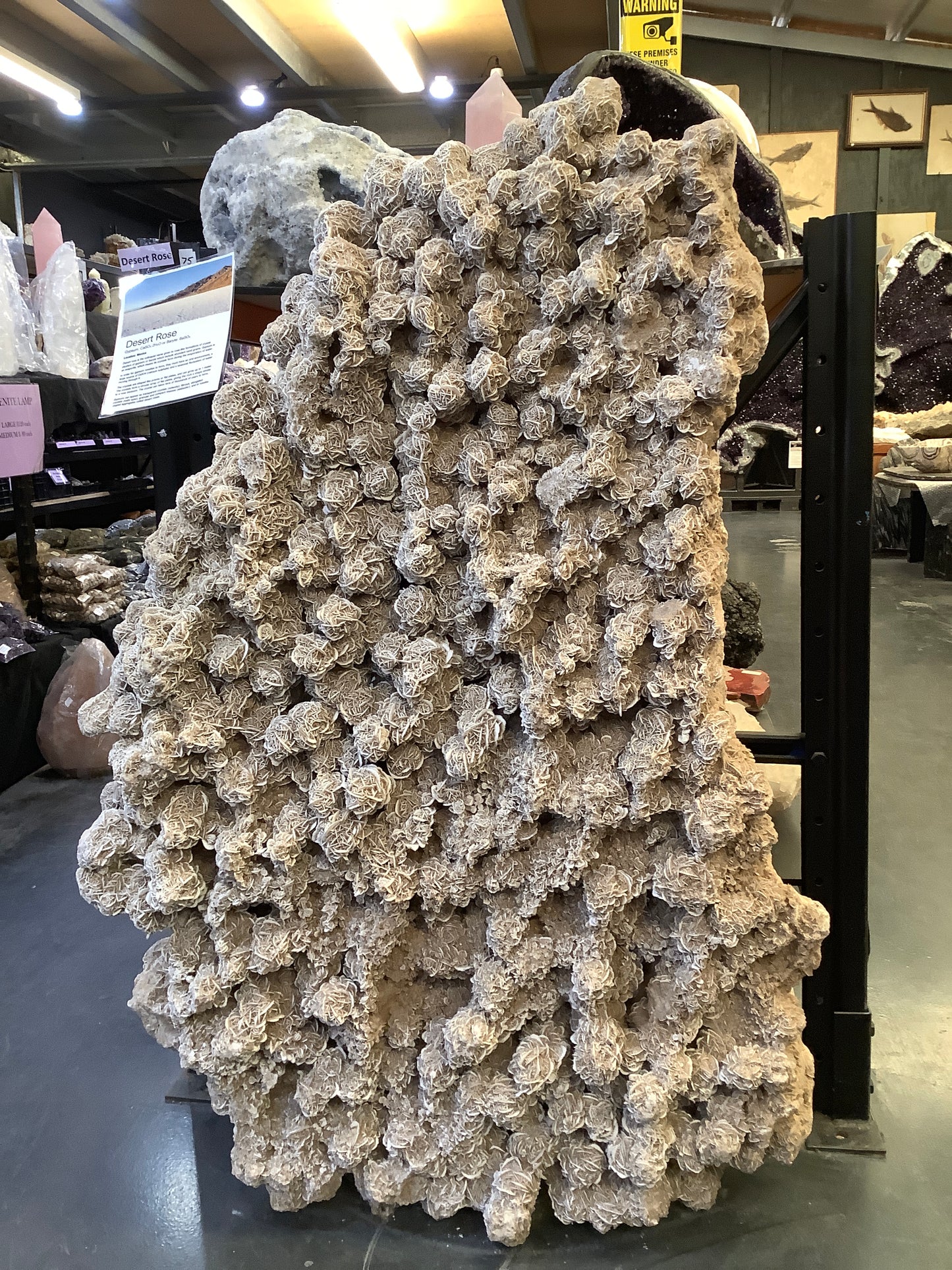 Desert Rose Gypsum