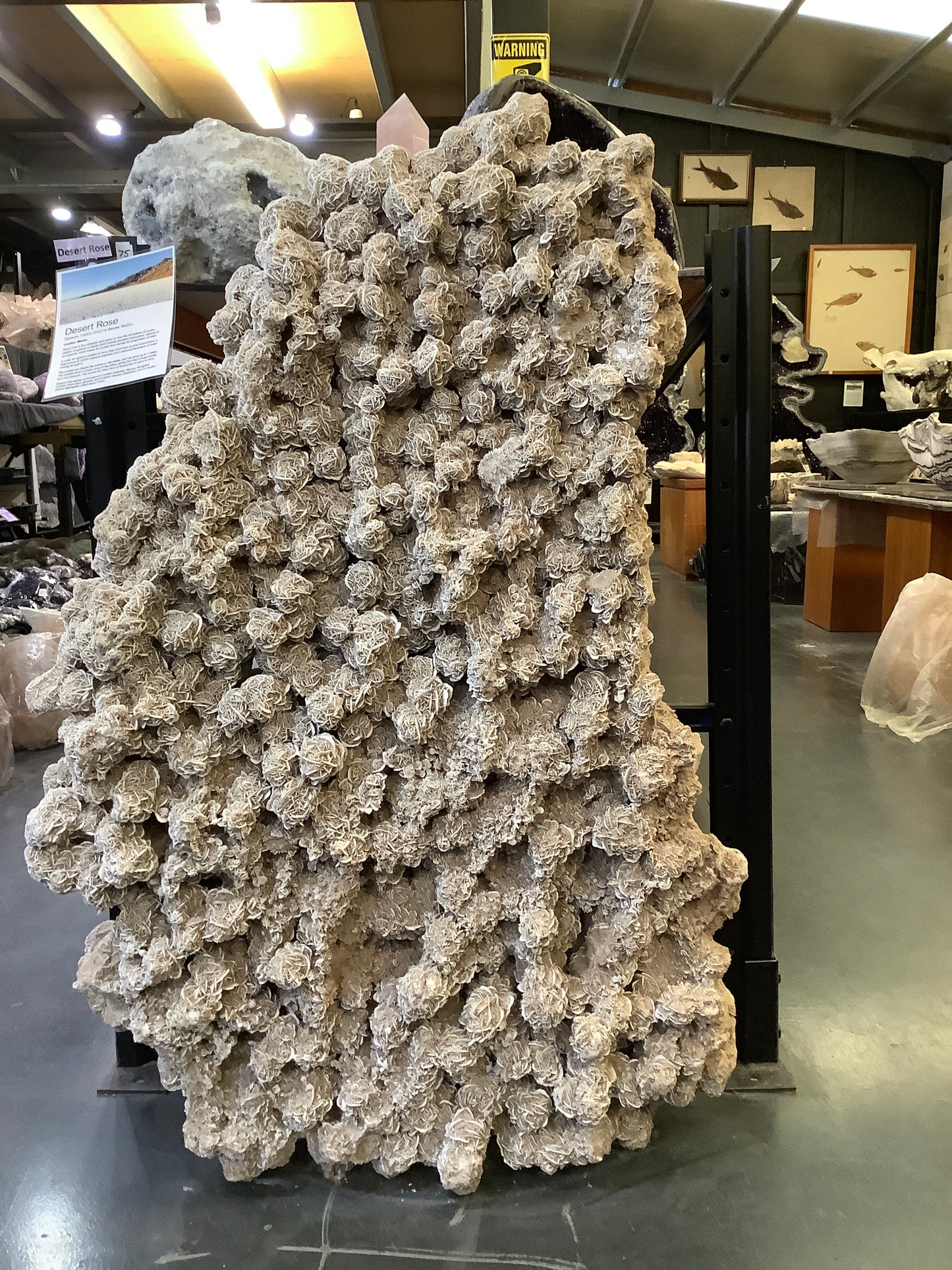 Desert Rose Gypsum